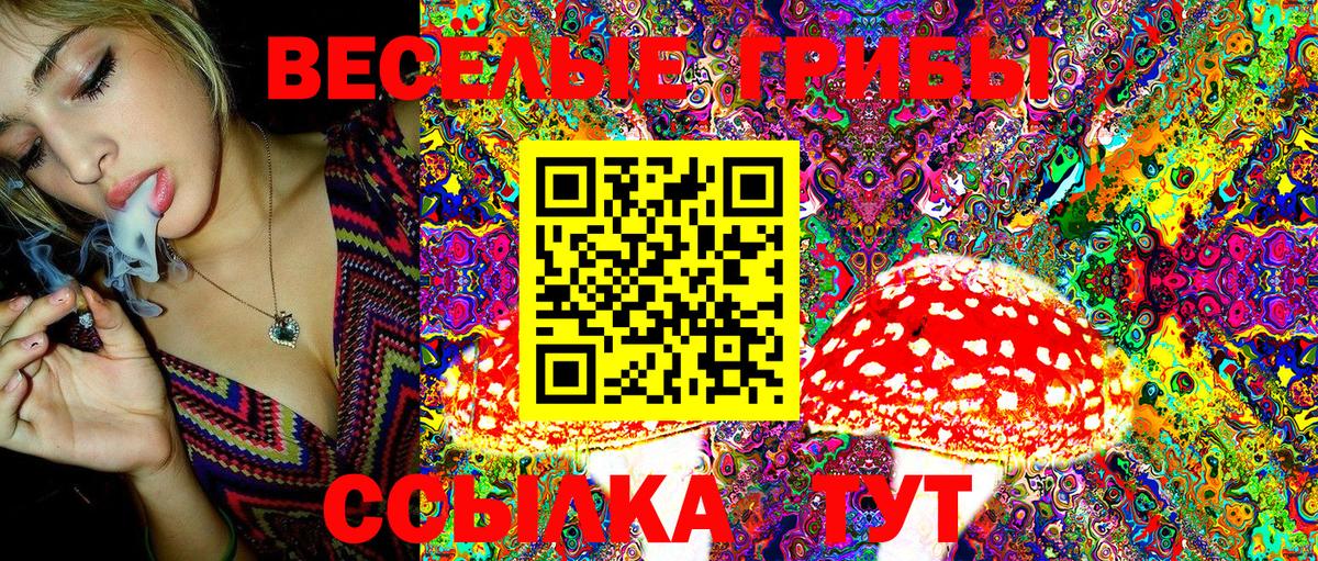 Галлюциногенные грибы Psilocybe Рассказово